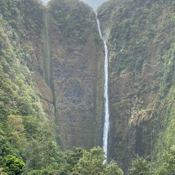 Meet your Posher, Jo ann - Picture 1 of 1